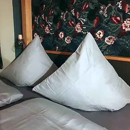 Pelikans Krone * باد سودين أليندورف